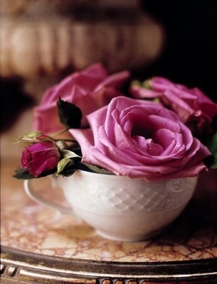 pink+rose.jpg