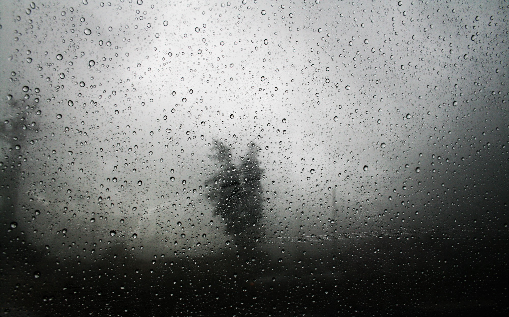 Rainy_Day_Texture_01_by_KaramNatour_Reso