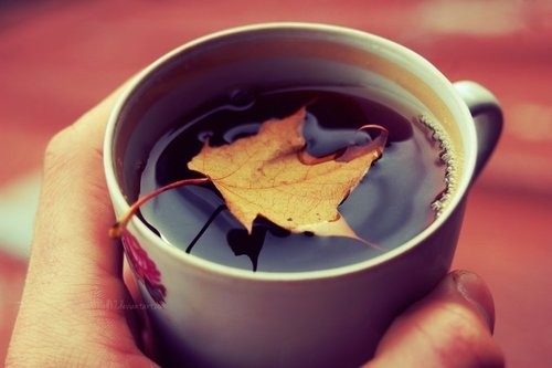 autumn_tea_by_all17-d5fivui_large.jpg